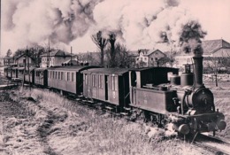 Suisse, Chemin De Fer à Vapeur Bière Apples Morges, Train Militaire à Bière Photo 1930 Retirage BVA, BAM 28.3 - Apples