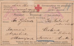 Russie Carte Prisonnier De Guerre Censurée Wien 1917 - Briefe U. Dokumente