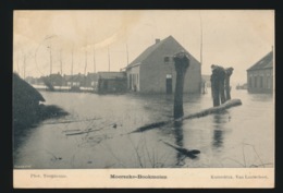 MOERZEKE   BOOKMOLEN - Hamme