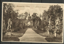 Germany - Meuselwitz I Thur, Schlopark Und Orangerie (p) - Meuselwitz