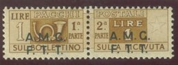 TRIESTE A.M.G.-F.T.T. SASS. P.P. 1gag  NUOVO - Postal And Consigned Parcels