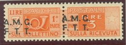 TRIESTE A.M.G.-F.T.T. SASS. P.P. 3gb  NUOVO - Postal And Consigned Parcels