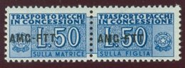 TRIESTE A.M.G.-F.T.T. SASS. PACCHI IN CONCESSIONE  2a  NUOVO - Postal And Consigned Parcels