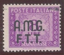 TRIESTE A.M.G.-F.T.T. SASS. S.T.  11 VARIETA' NUOVO - Postage Due