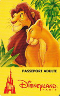 FRANCE 1995     Disneyland    Passeport Adulte Valide Du 24.06.95 Au 25.06.95 - Passeports Disney