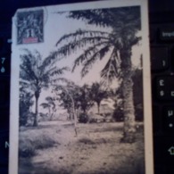 COLONIE DU DAHOMEY PAYSAGE COTONOU 11/1/1907 - Lettres & Documents