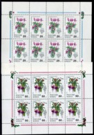 RUSSIA 1993 Houseplants Sheetlets MNH / ** .  Michel 298-99 Kb - Blocks & Sheetlets & Panes