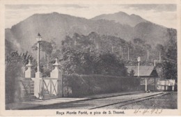 POSTCARD PORTUGAL - OLD COLONY - SÃO TOMÉ E  PRINCIPE - ROÇA MONTE FORTÉ E PICO DE S. THOMÉ  , S. THOMÉ - Sao Tome Et Principe