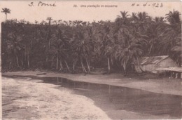 POSTCARD PORTUGAL - OLD COLONY - SÃO TOMÉ E  PRINCIPE - UMA PLANTAÇÃO DE COQUEIROS   , S. THOMÉ - Sao Tome Et Principe