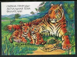 RUSSIA 1992 Amur Tiger Block Used  Michel Block 1 - Blokken & Velletjes