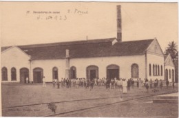 POSTCARD PORTUGAL - OLD COLONY - SÃO TOMÉ E  PRINCIPE - SECADORES DE CACAU    , S. THOMÉ - Sao Tome Et Principe