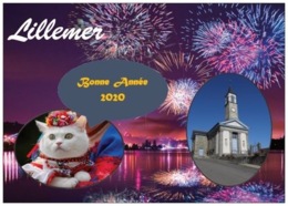 Chats - Bonne Année 2020 De LILLEMER - L'Église - 1 Chat Avec Sa Tenue De Noel - Cpm - Vierge - - Gatos