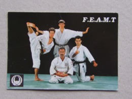 Fédération Européenne Des Arts Martiaux Traditionnels F.E.A.M.T. 81 Rue Michel ANGE Paris - Artes Marciales