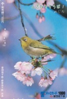 Carte Japon - Animal - Série OISEAUX 1/5 - OISEAU - FAUVETTE PARULINE - ZOSTEROPS BIRD Japan Prepaid Metro Card - 4498 - Pájaros Cantores (Passeri)