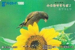 Carte Japon - Animal - Série OISEAUX 2/5 - OISEAU - VERDIER DE CHINE Sur Tournesol - SONG BIRD Japan Metro Card - 4499 - Passereaux