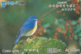 Carte Japon - Animal - Série OISEAUX 3/5 - OISEAU - GOBEMOUCHE - FLYCATCHER BIRD Japan Metro Card - 4500 - Pájaros Cantores (Passeri)