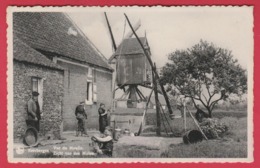 Keerbergen - Zicht Van Den Molen ... Geanimeerd ( Verso Zien ) - Keerbergen