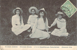 LUXEMBOURG Les Princesses Charlotte, Antonia, Marie-Adélaïde Et Hilda Avec Leur Grand Chapeau Sur L'herbe - Grand-Ducal Family