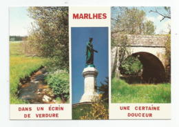 42 Loire - Marlhes L'écotay Rivière A Truites La Vierge - Autres & Non Classés