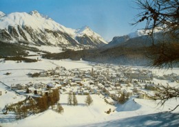 CELERINA Gel. 1980 Bahnpost Rhät. Bahn - Celerina/Schlarigna