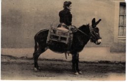 Laitière Normande Marchande De Lait Livraison Avec âne 1909 - Carte Toilée - Marchands