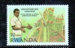 Rwanda - 1399 - Végétaux - 1993 - MNH - Ongebruikt