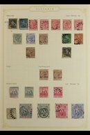 1855-1982 INTERESTING ORIGINAL COLLECTION A Mint, Nhm & Used Collection Presented On A Variety Of Album Pages, Often Dup - Barbades (...-1966)