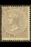 1865-1903 6d Dull Purple, SG 6, Unused No Gum, Some Short Perfs, Centred To Upper Left, Fresh Colour, Cat £1,000. For Mo - Bermuda