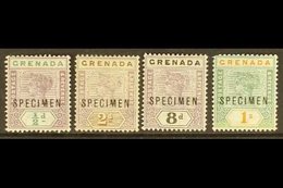 1895-99 Key Plate "SPECIMEN" Overprints Showing Broken "M" (position 41), ½d, 2d (no Gum), 8d And 1s (thin), Scarce. (4  - Granada (...-1974)