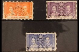 1937 CORONATION SPECIMENS. A Coronation Set, Perforated "Specimen", SG 185s/7s, Very Fine Mint. (3 Stamps) For More Imag - Sierra Leone (...-1960)