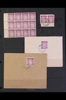 SHUNA ISLAND 1949 SMALL GROUP Incl. 2d Mauve Map Stamp In A Very Fine Mint Marginal BLOCK OF TWELVE (10 Stamps NHM), A U - Other & Unclassified