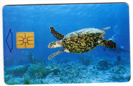 ANTILLES NEERLANDAISES BONNAIRE REF MV CARDS BON-14  Année 1999 TORTUE - Tortugas