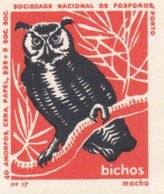 PORTUGAL MATCHBOX LABEL - VIGNETTE - CINDERELA - BIRDS - BIRD - OWL - - Luciferdozen - Etiketten