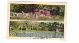 KINGSVILLE, Ontario, Canada, Jack Miner's Home & Bird Sanctuary, Old WB Postcard, Essex County - Port Arthur