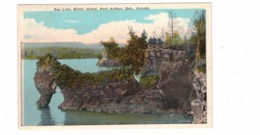 PORT ARTHUR, Ontario, Canada, Sea Lion, Silver Island, Old WB Postcard, Thunder Bay County - Port Arthur