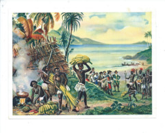 Chromo/Image Chefs Caraïbe Antilles Didactique Au Dos TB Pub:IMA 16 X 12 Cm Colonies Françaises 2 Scans - Altri