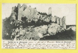 * Onhaye (Namur - Namen - La Wallonie) * (Nels, Série 22, Nr 2) Vallée De La Molignée, Ruines De Montaigle, Chateau - Onhaye