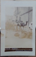 Tiaret, Algérie, 1910 - Préparatifs Pour Un Convoi - Photo Carte Postale - Tiaret