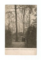 Pensionnat De Melsbroeck.  -  Une Partie Du Jardin Anglais (1909). - Hoeilaart