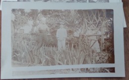 Tiaret, Algérie, 1910 - Hôpital Militaire, Un Coin Du Jardin - Photo Carte Postale - Tiaret