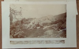 Tiaret, Algérie, 1910 - Au Bas Des Falaises De Tiaret, Après La Chasse - Photo Carte Postale - Tiaret