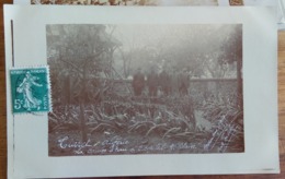 Tiaret, Algérie, 1910 - La Corvée D'eau à L'Hôpital Militaire - Photo Carte Postale - Tiaret