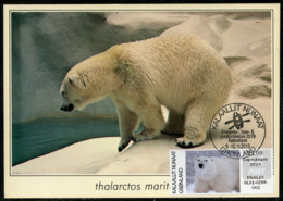 GREENLAND GROENLAND (2019) - Carte Maximum Card ATM - Polar Bear, Der Eisbär (Thalarctos Maritimus) - Copenhagen 2019 - Cartoline Maximum