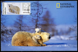 GREENLAND GROENLAND (2019) - Carte Maximum Card ATM - Polar Bear, Der Eisbär, Ours Blanc (National Geographic) - Maximumkarten (MC)