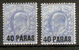 BRITISH LEVANT 1902 40pa On 2½d ULTRAMARINE AND 40pa On 2½d PALE ULTRAMARINE SG 8,8a MOUNTED MINT Cat £50 - Levant Britannique