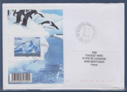 Protection Des Zones Polaires Et Des Glaciers N°4350 Du Bloc Paysage Polaire Et Albatros Sur Enveloppe 27.1.2010 - Eventi E Commemorazioni