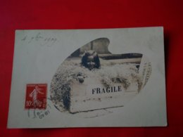 CARTE PHOTO PETITE FILLE DANS UNE CAISSE FRAGILE 1909 - Fotografie