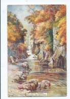 Wales The Artist,s Paradise  Bettws-y-coed Unused Artist Signed Jotter  Misch & Stock's - Caernarvonshire