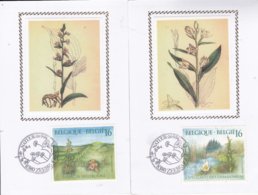 FDC OP ZIJDE/SOIE   NATUUR - 1991-2000