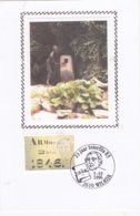 FDC OP SOIE/ZIJDE OP KAART  ARMONAQUES DE MONS - 1991-2000